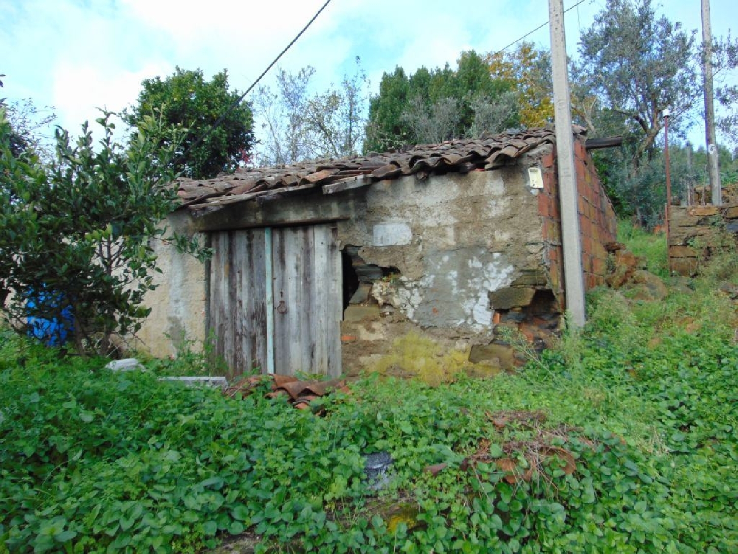 à vendre maison Sertã Sertã 2