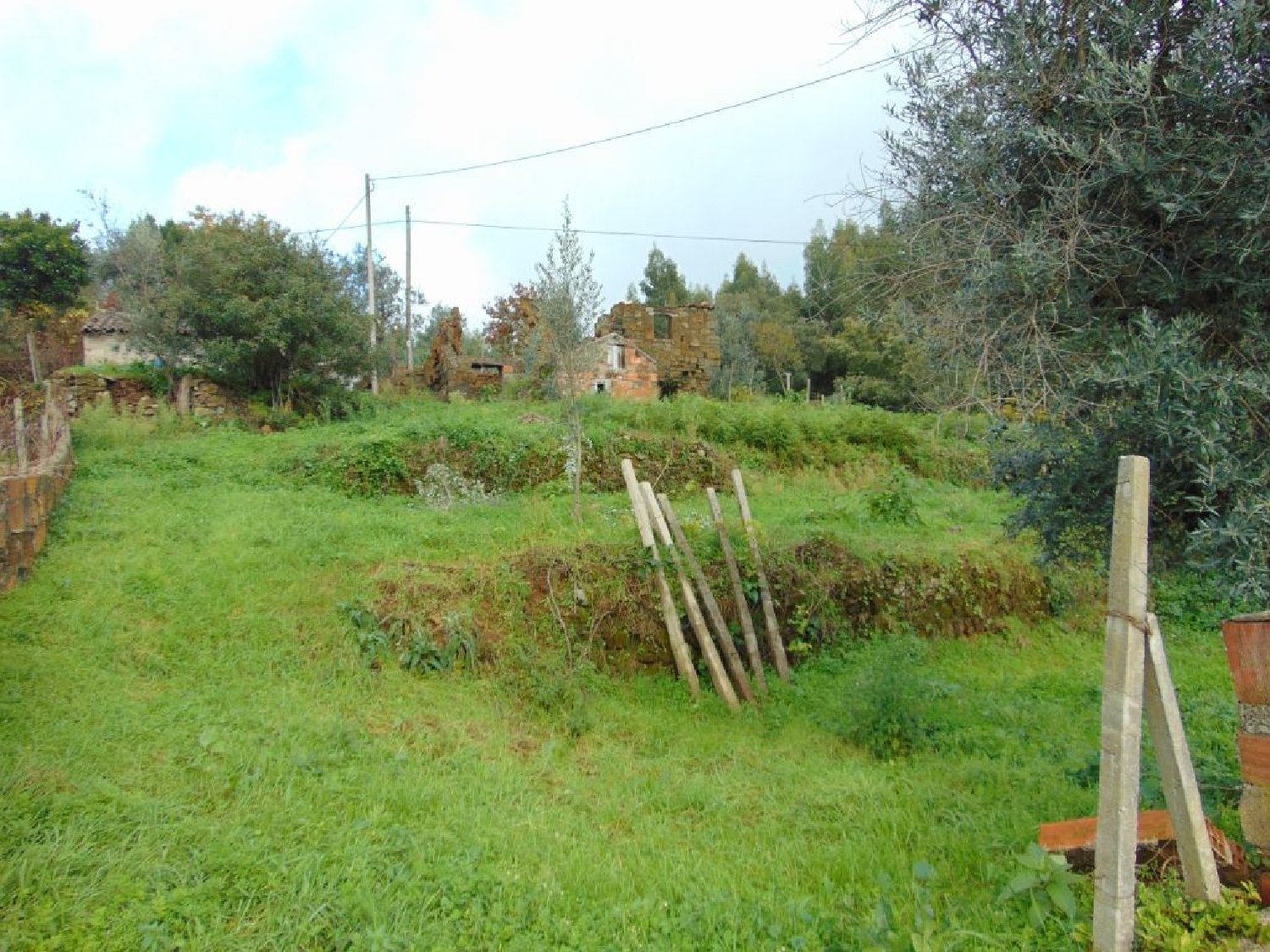 à vendre maison Sertã Sertã 3