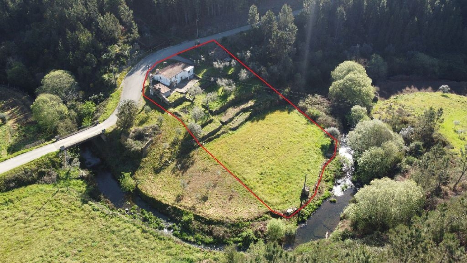  à vendre maison Sertã Sertã 1