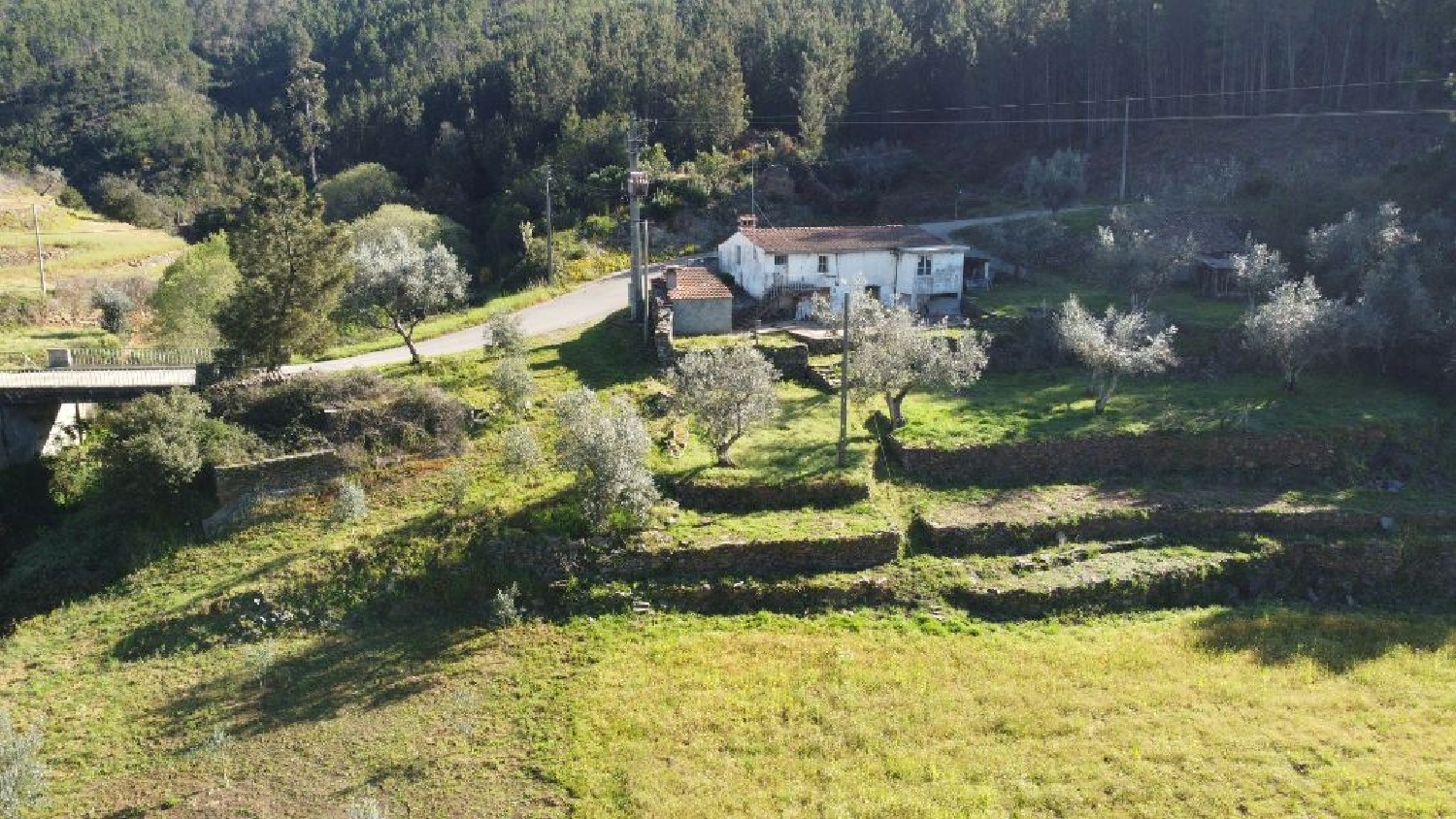 à vendre maison Sertã Sertã 2