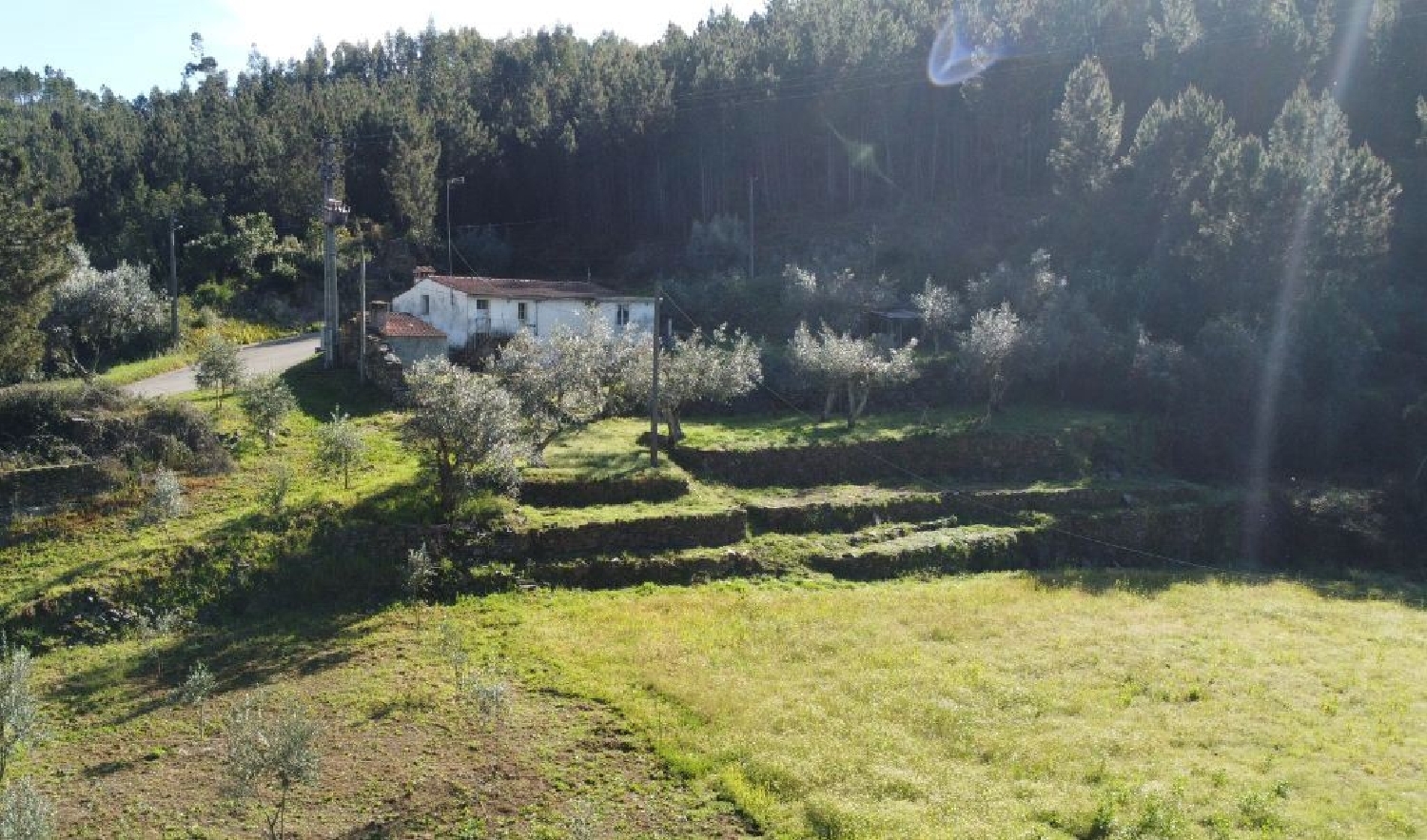 à vendre maison Sertã Sertã 3