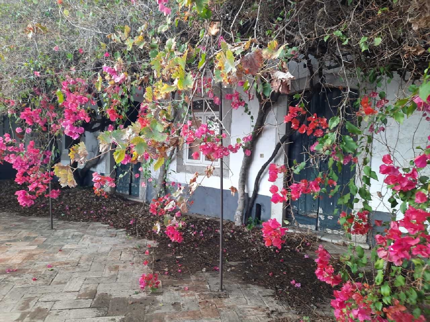 te koop huis Tavira Tavira 2