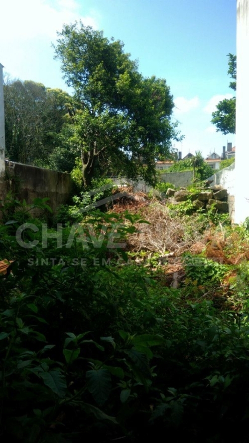 Terroso Póvoa De Varzim huis foto 323308