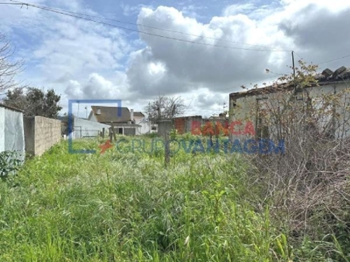 Tramagal Abrantes huis foto 333469