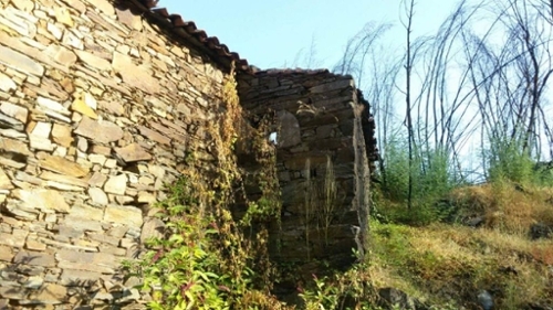 Troviscal Sertã huis foto 327160