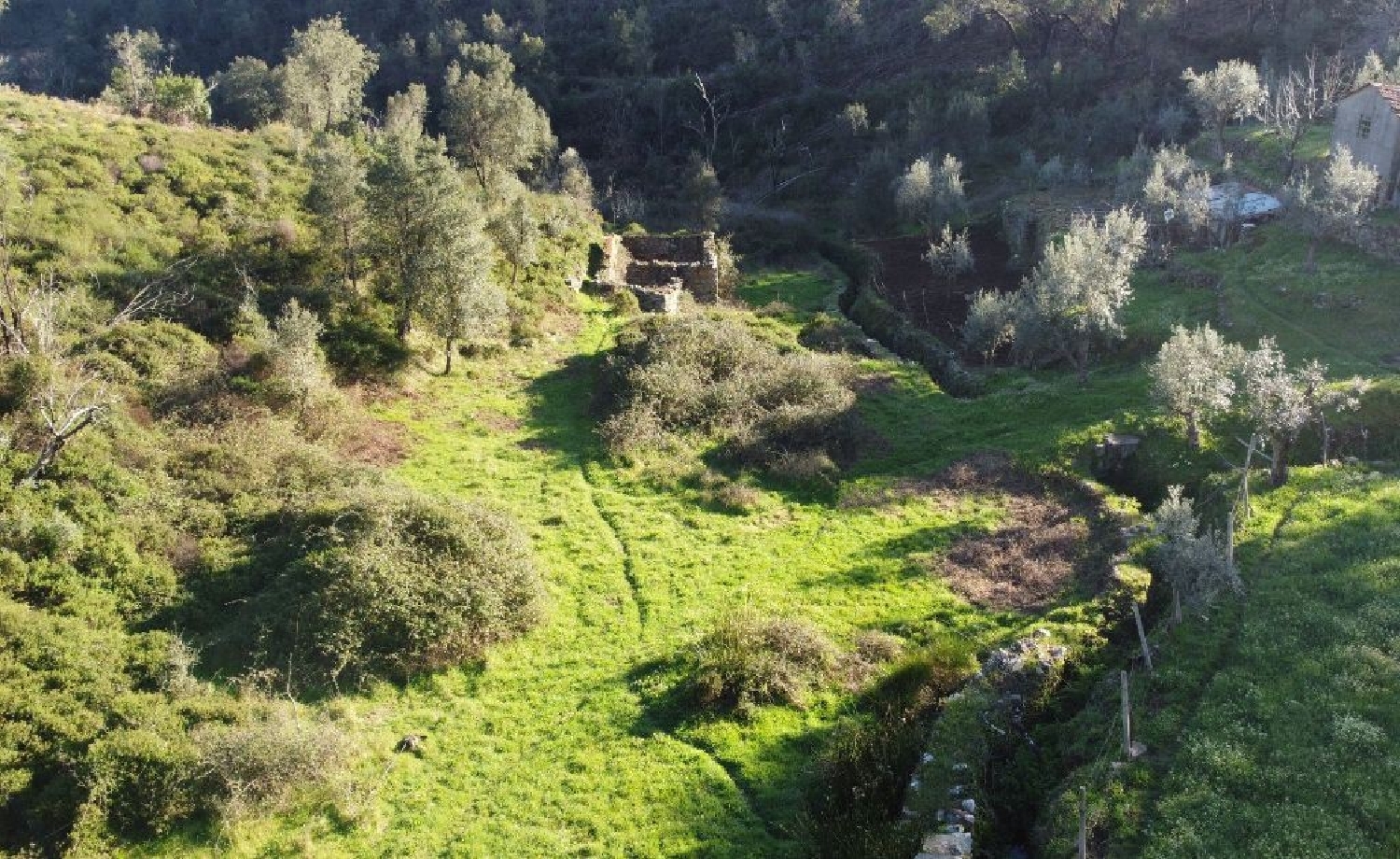 for sale house Troviscal Sertã 3