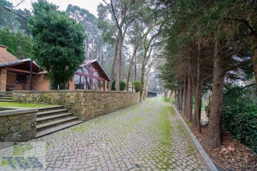 Ul Oliveira De Azeméis huis foto 328867