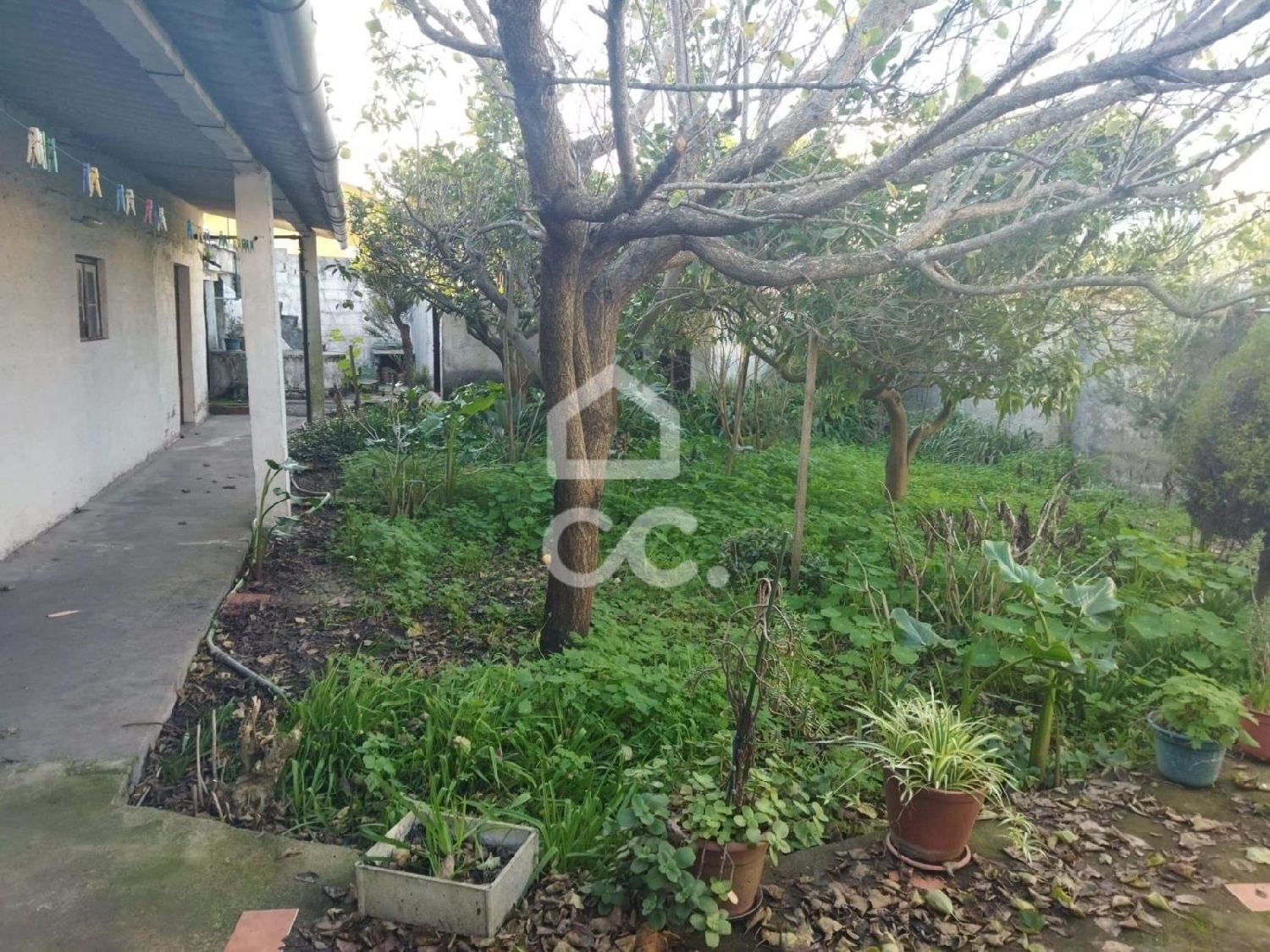 for sale house Vieira de Leiria Marinha Grande 3