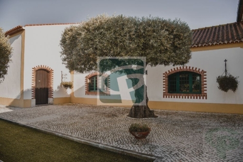 Vila Chã de Ourique Cartaxo huis foto 320209