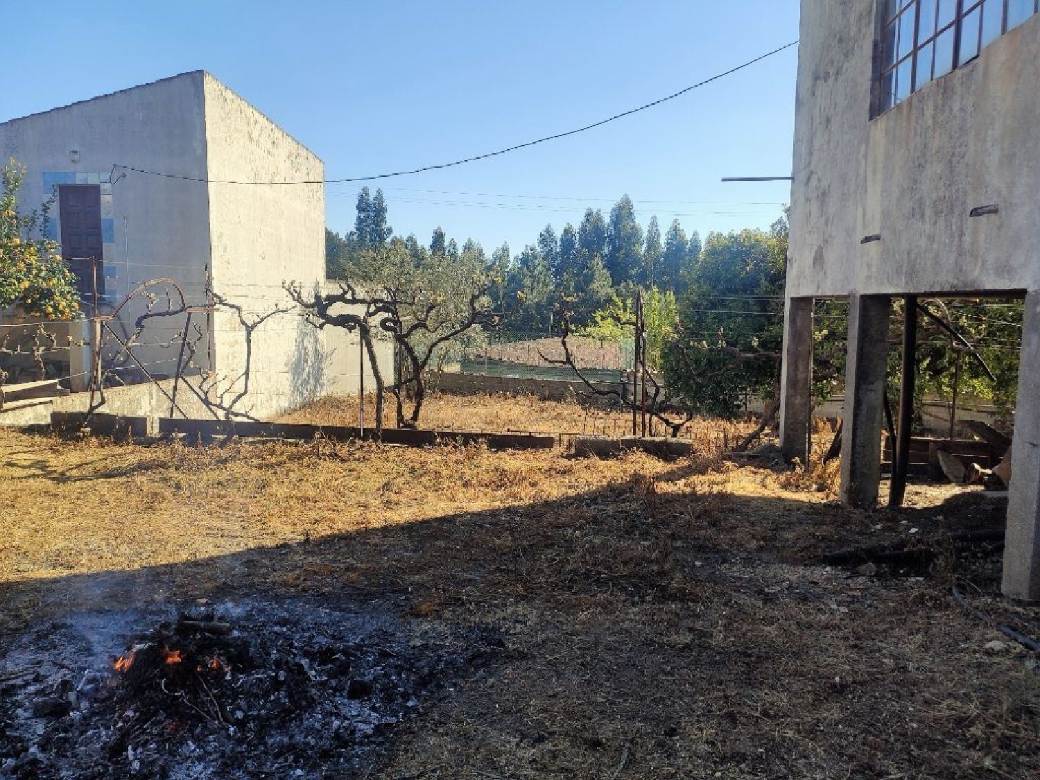 à vendre maison Vila de Rei Vila De Rei 3
