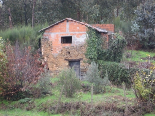 Vila Facaia Pedrógão Grande maison foto 327191