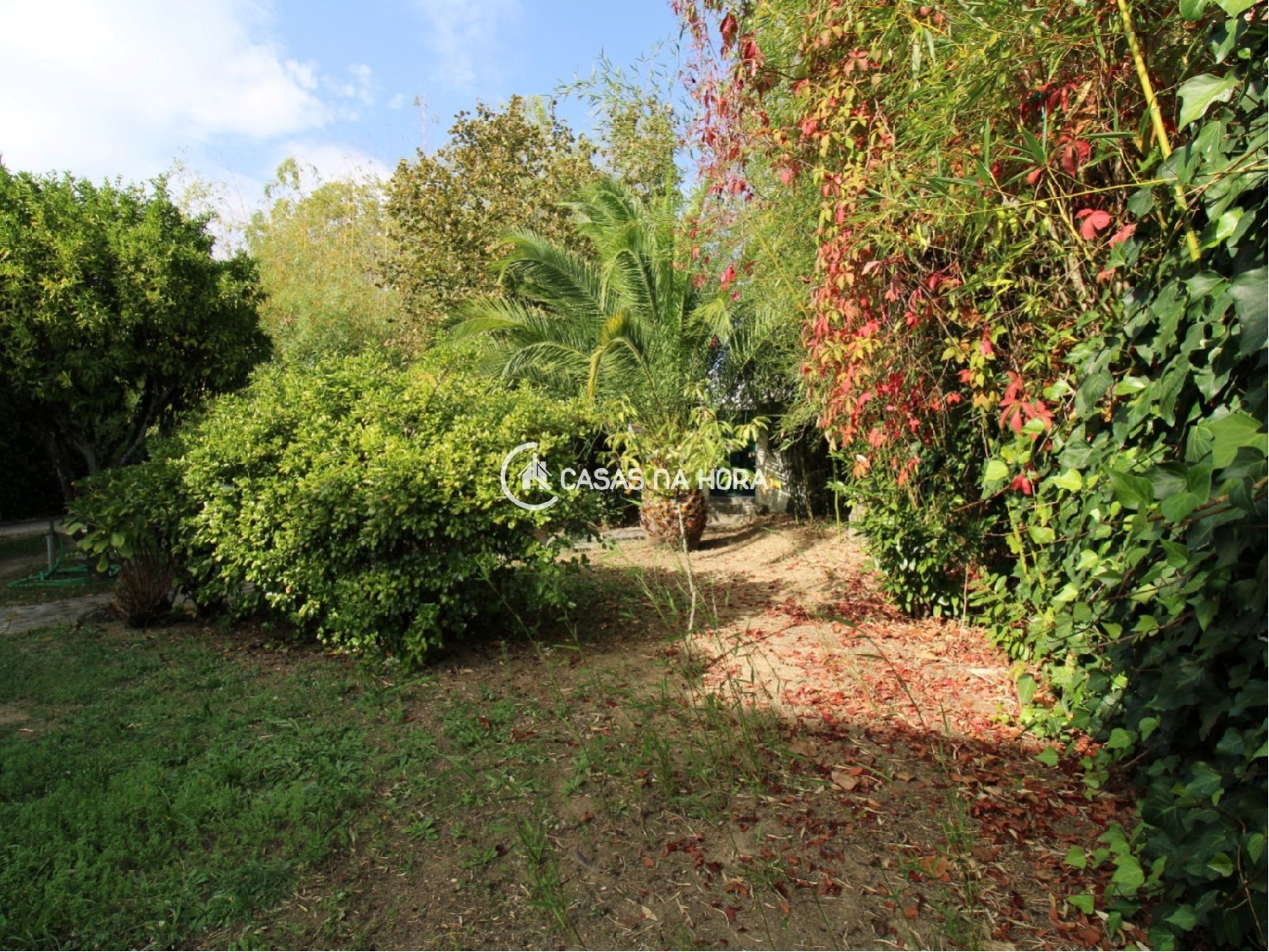  te koop huis Viseu Viseu 1