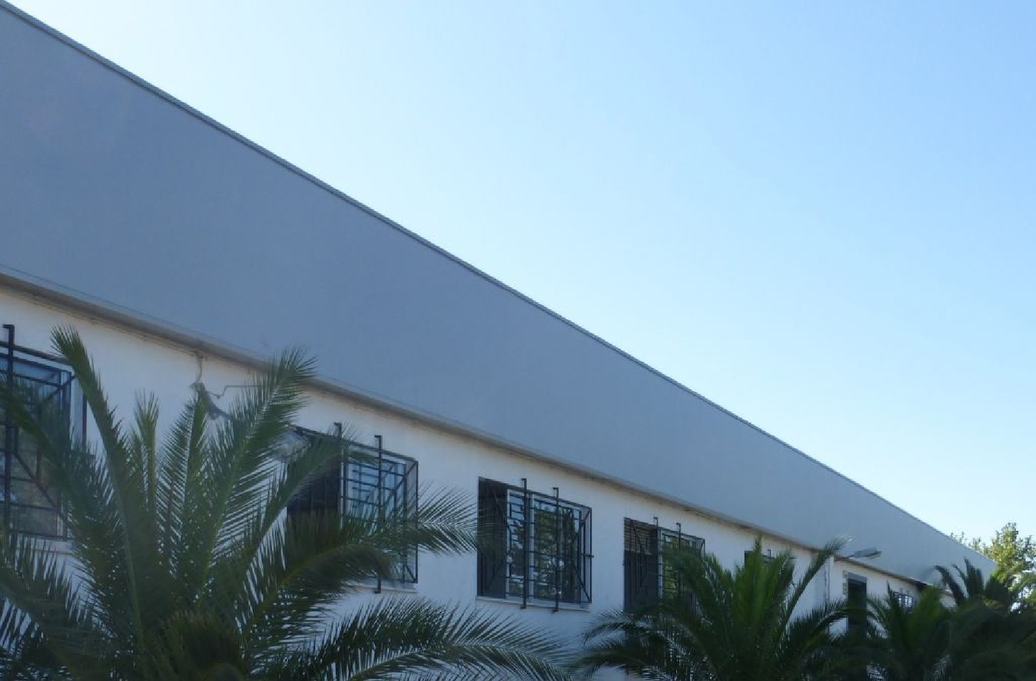 kaufen Haus Viseu Viseu 2