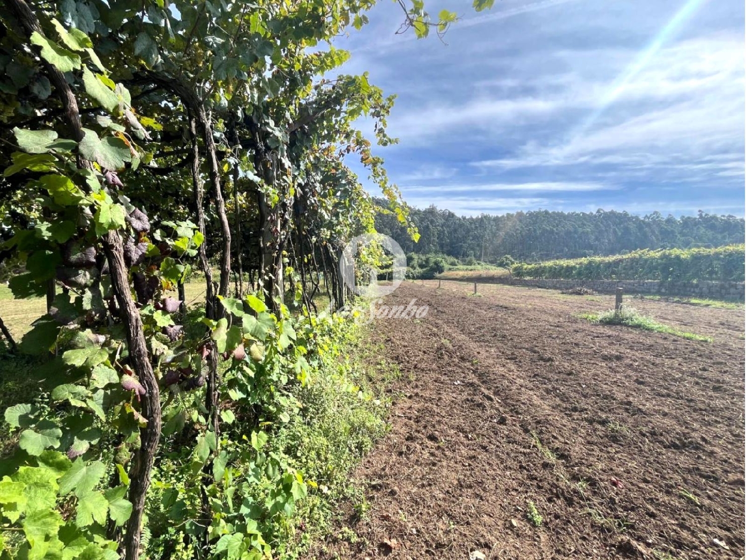  à venda terreno Abade de Neiva Barcelos 1