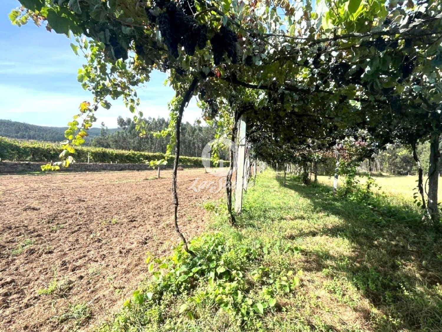 à venda terreno Abade de Neiva Barcelos 2