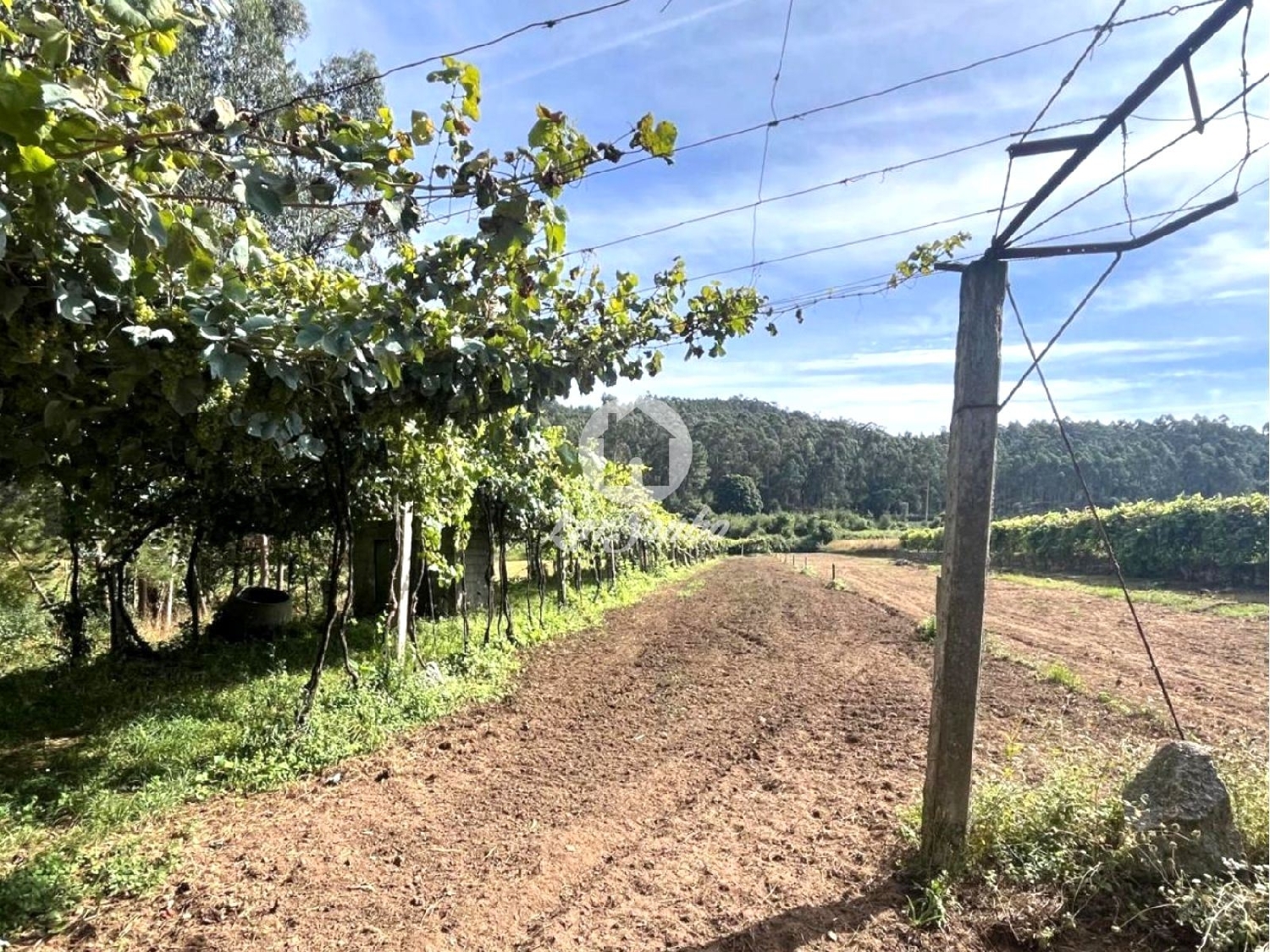 à venda terreno Abade de Neiva Barcelos 3