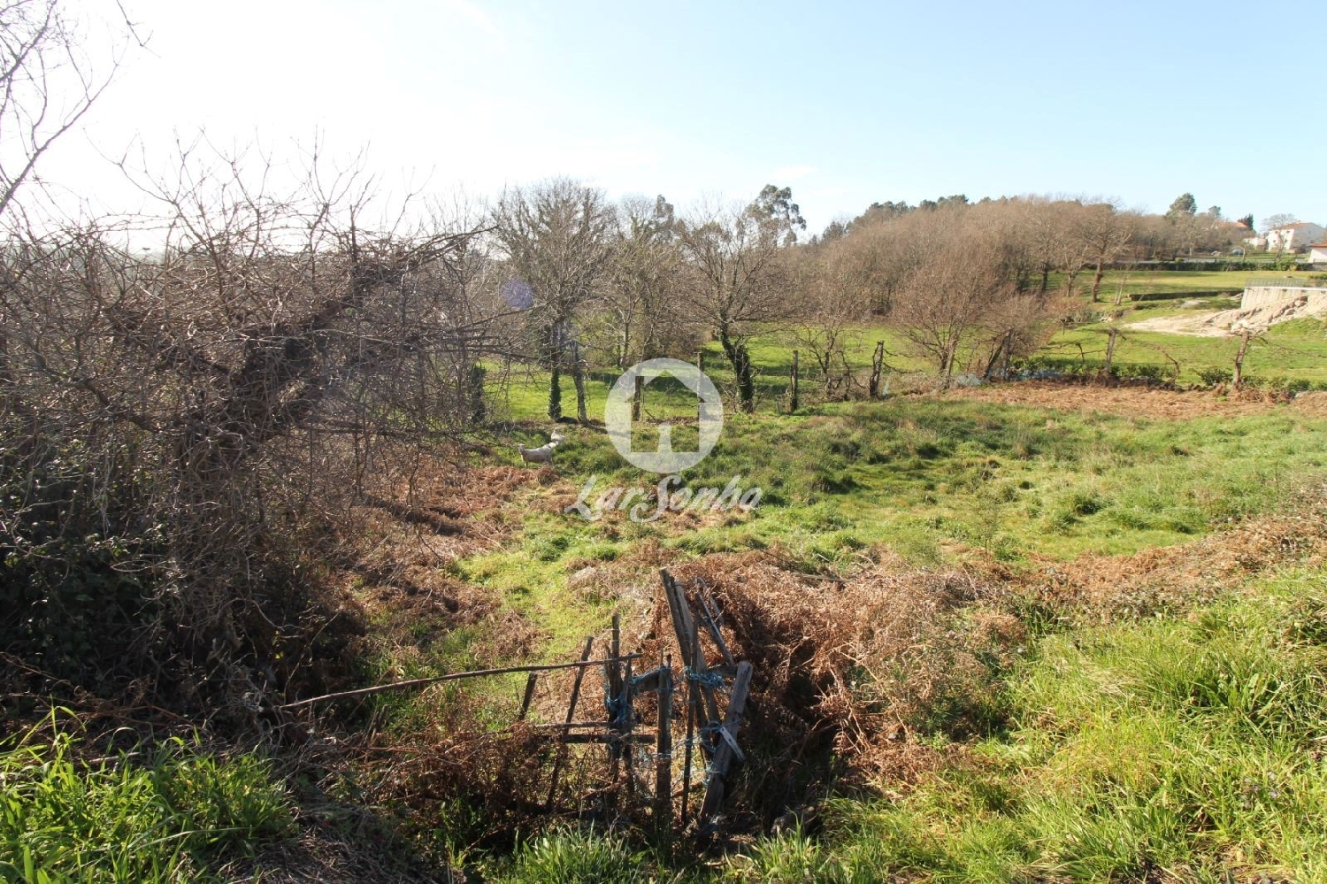  for sale terrain Aboim Fafe 2