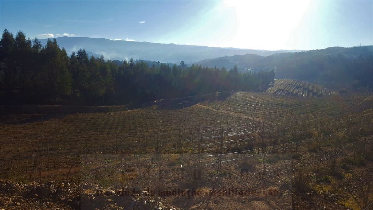  à venda terreno Aboim Amarante 3
