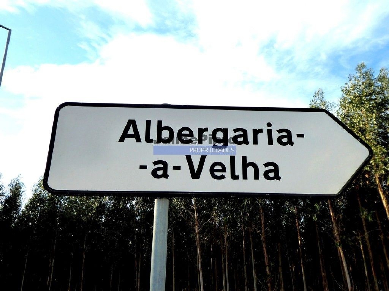 for sale terrain Albergaria-A-Velha Albergaria-A-Velha 3
