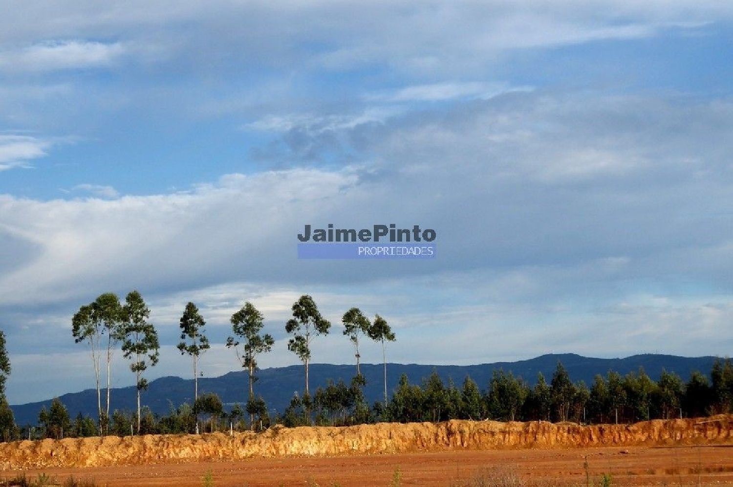  for sale terrain Albergaria-A-Velha Albergaria-A-Velha 1