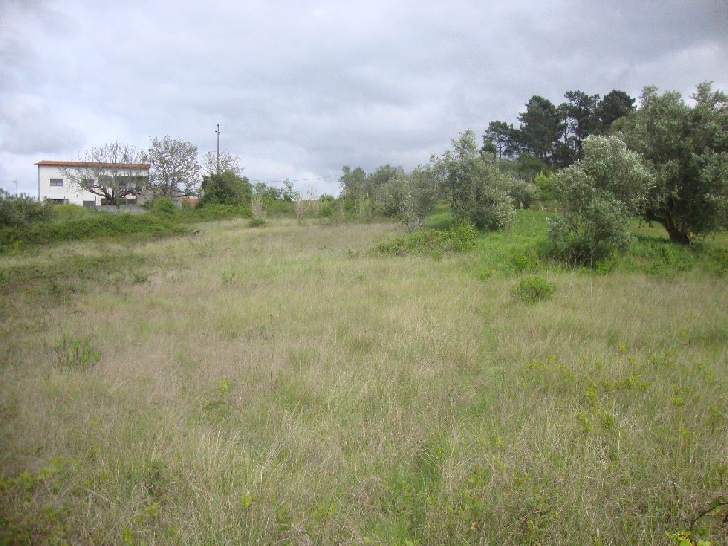 te koop terrein Albergaria dos Doze Pombal 3