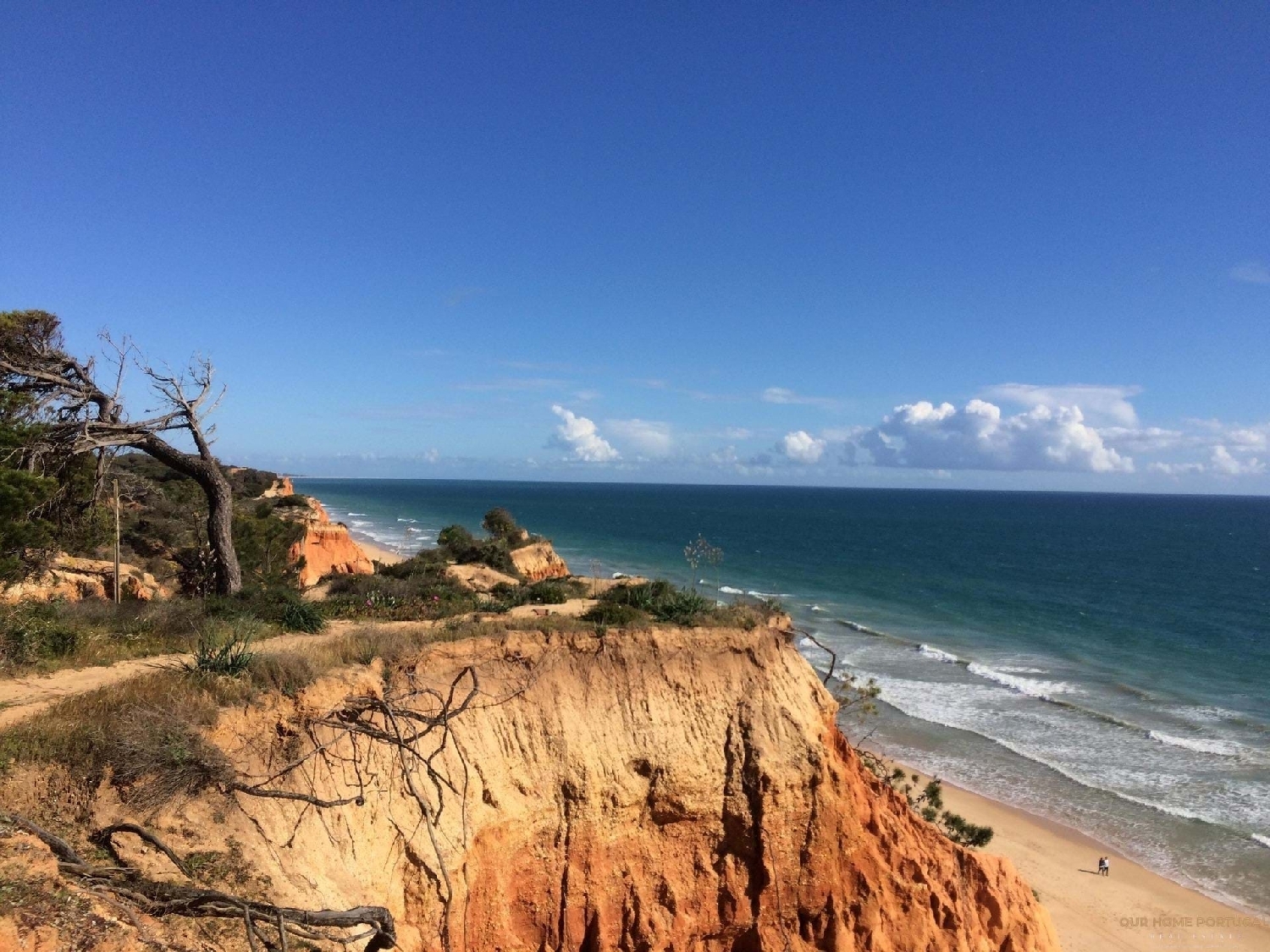  à vendre terrain Albufeira Albufeira 4