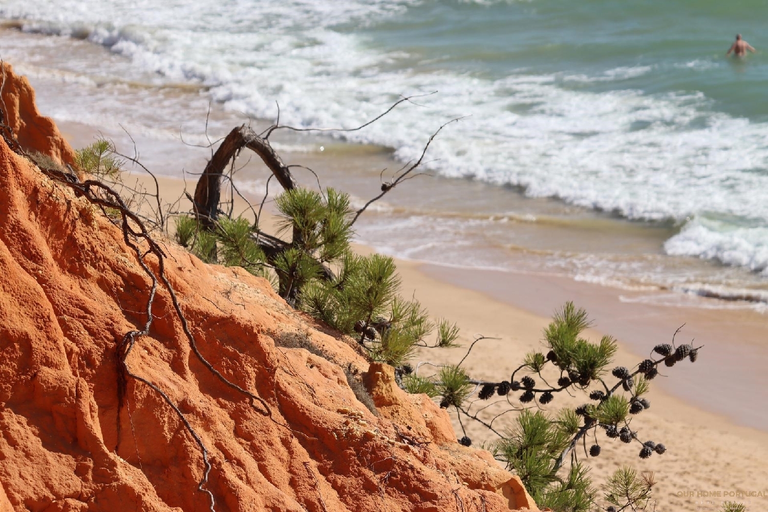  à vendre terrain Albufeira Albufeira 6