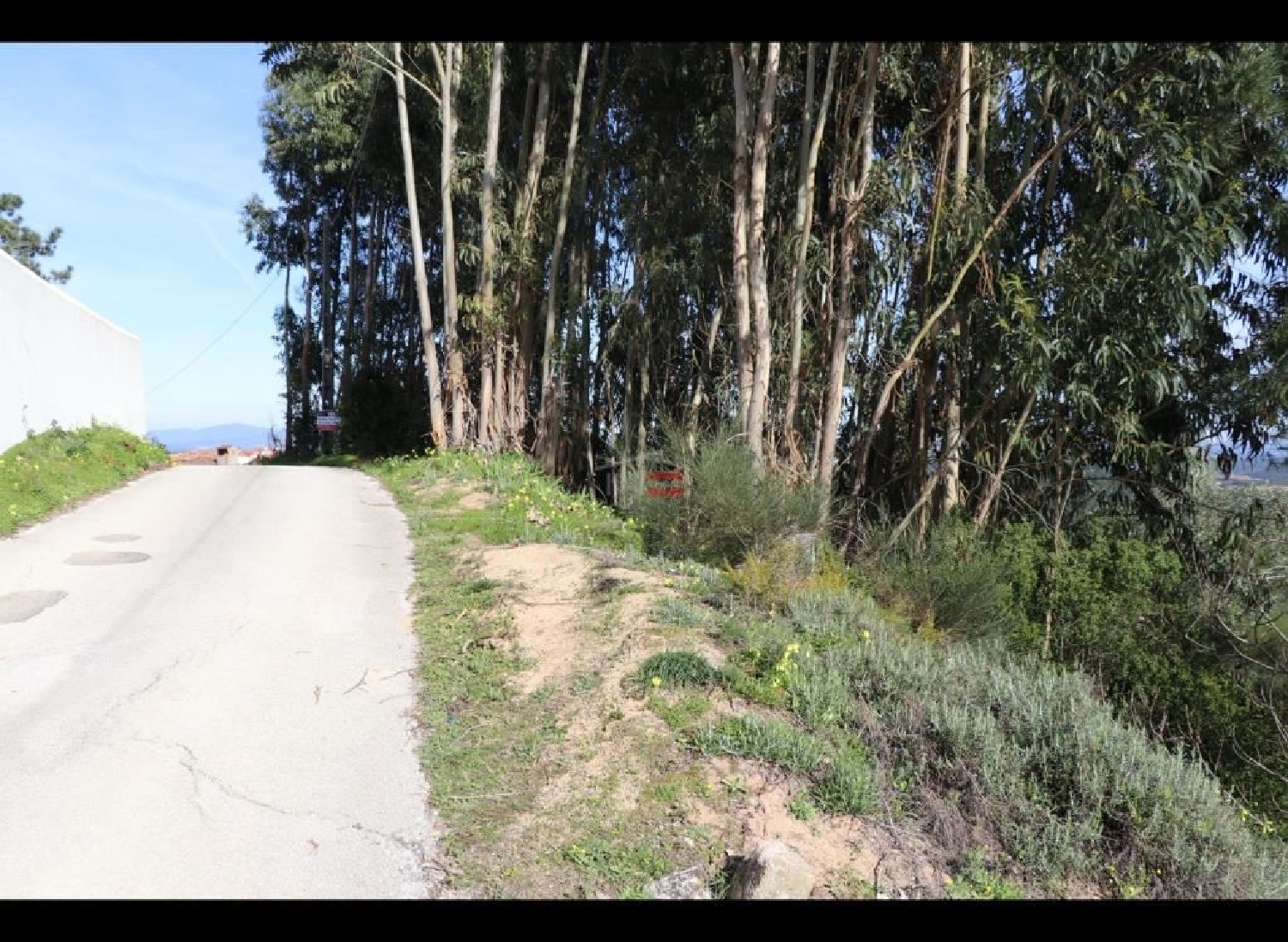  for sale terrain Alburitel Ourém 1