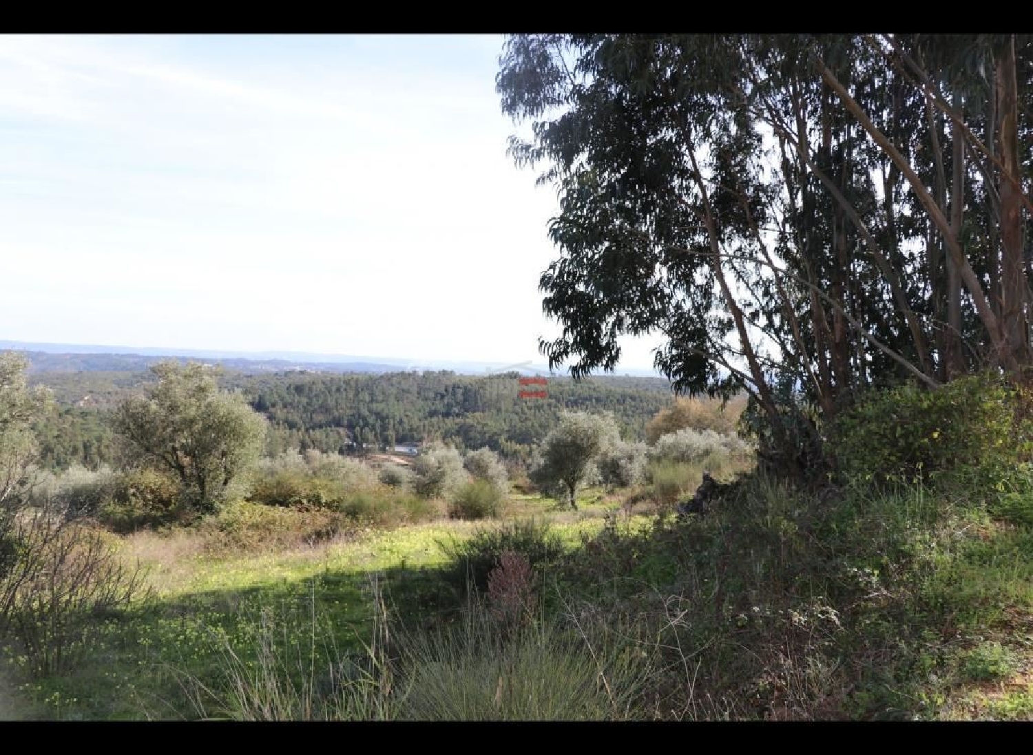 for sale terrain Alburitel Ourém 3