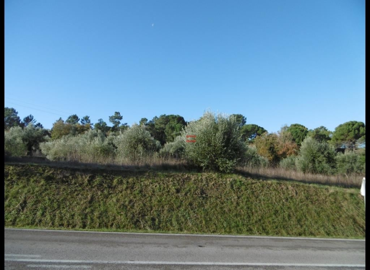  for sale terrain Alburitel Ourém 1