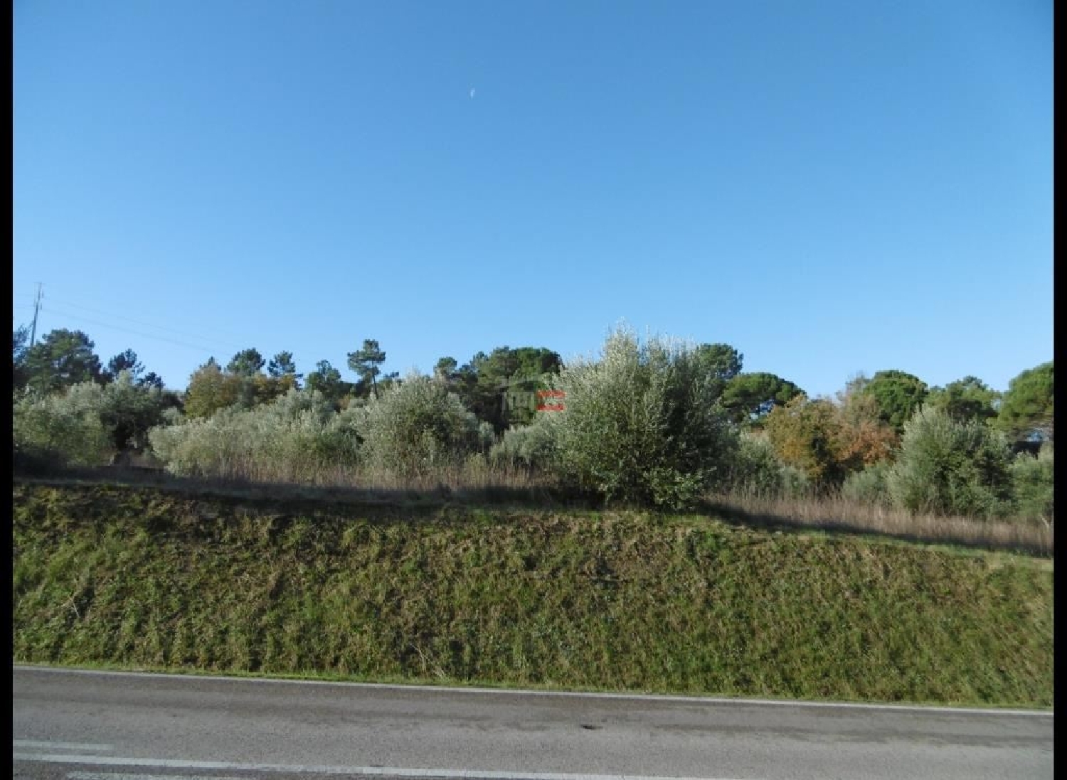 for sale terrain Alburitel Ourém 2