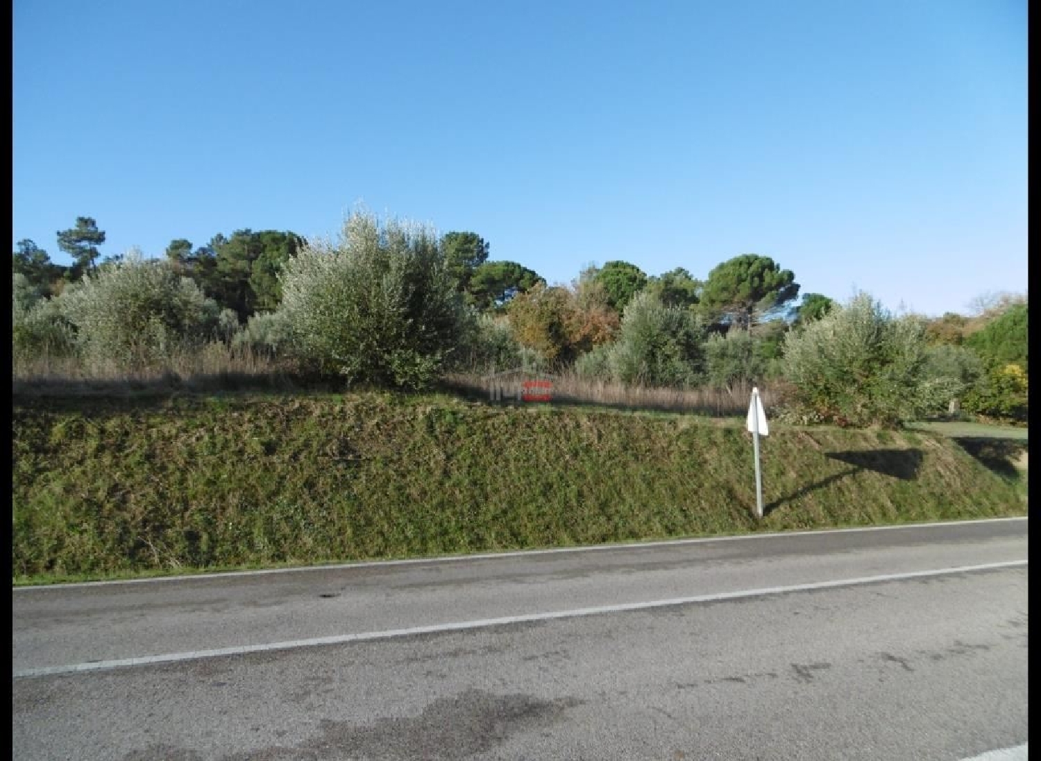 for sale terrain Alburitel Ourém 3