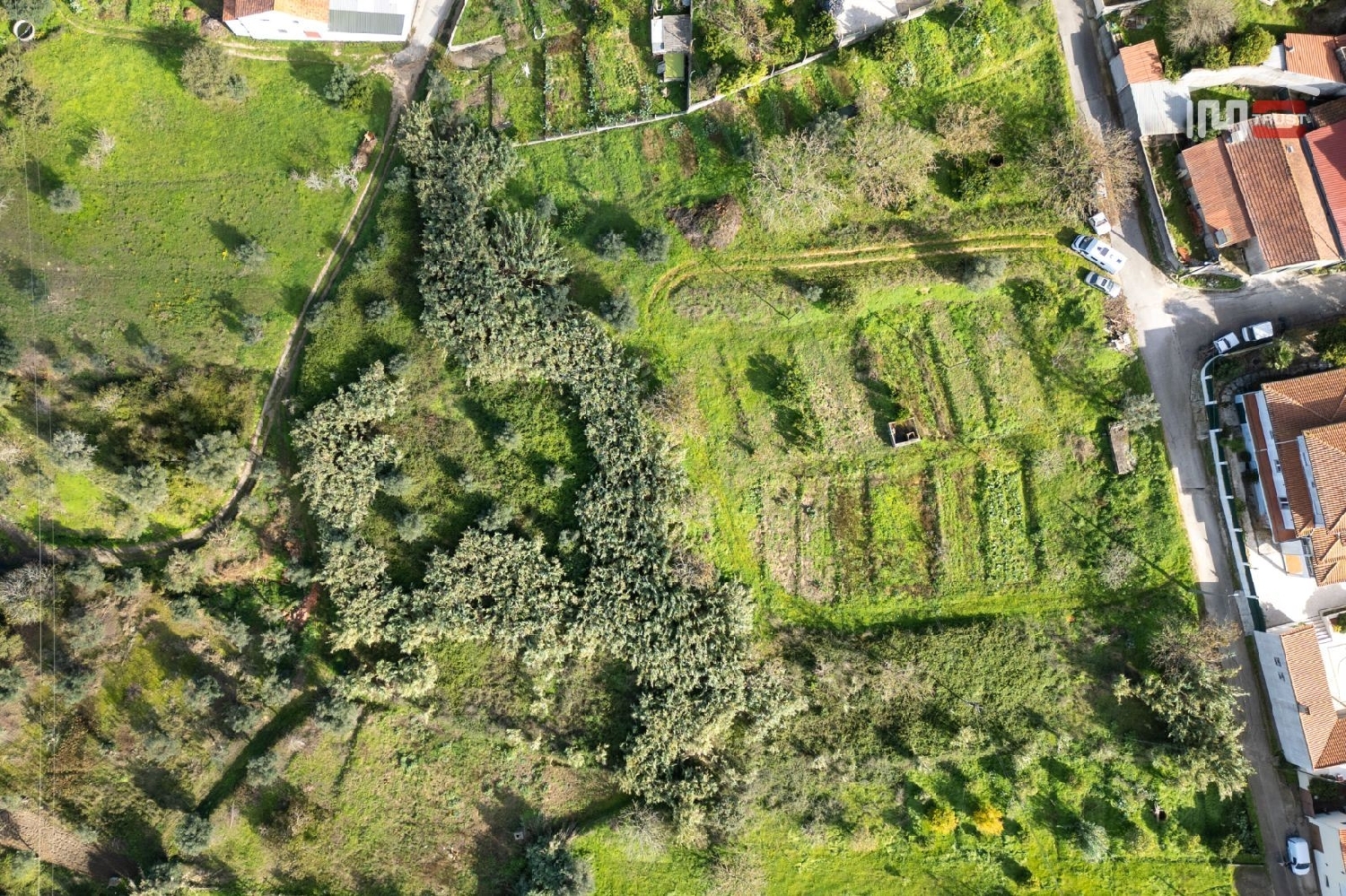 for sale terrain Alburitel Ourém 3