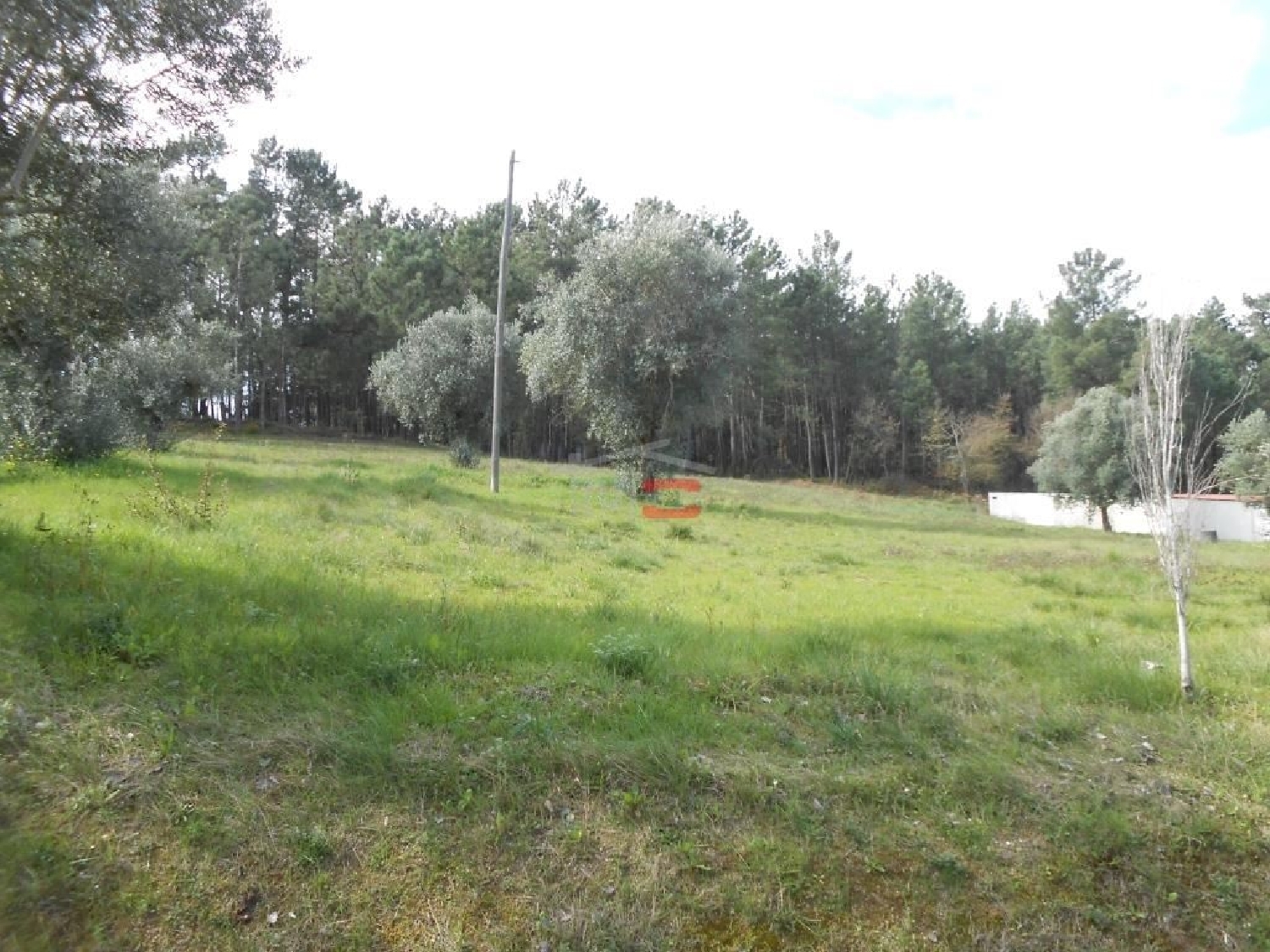 for sale terrain Alburitel Ourém 2