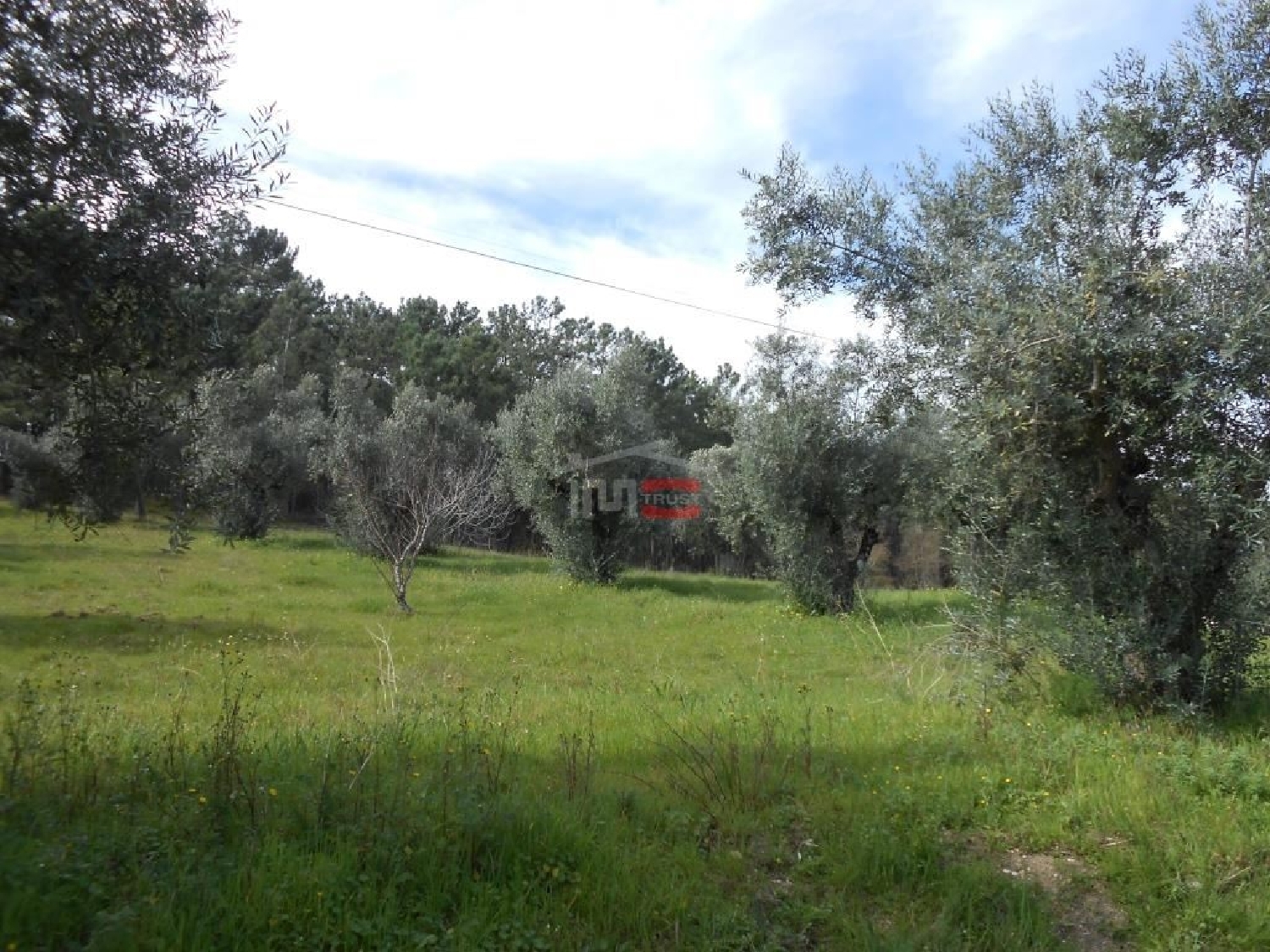 for sale terrain Alburitel Ourém 3