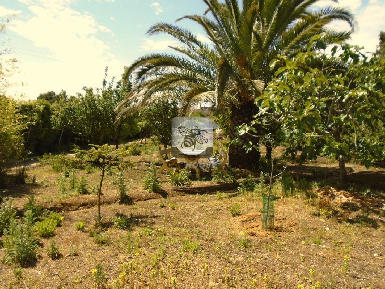 te koop terrein Alcabideche Cascais 3