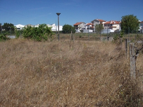 Alcains Castelo Branco terrein foto 328146