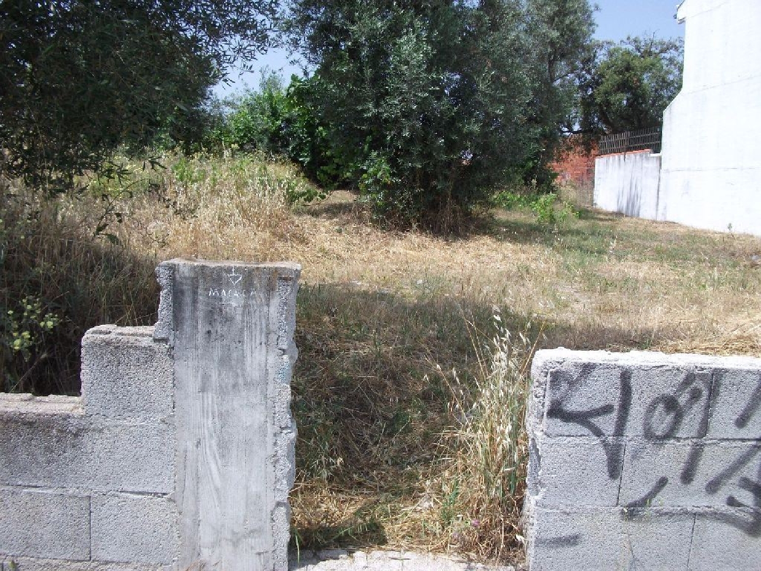 te koop terrein Alcains Castelo Branco 1