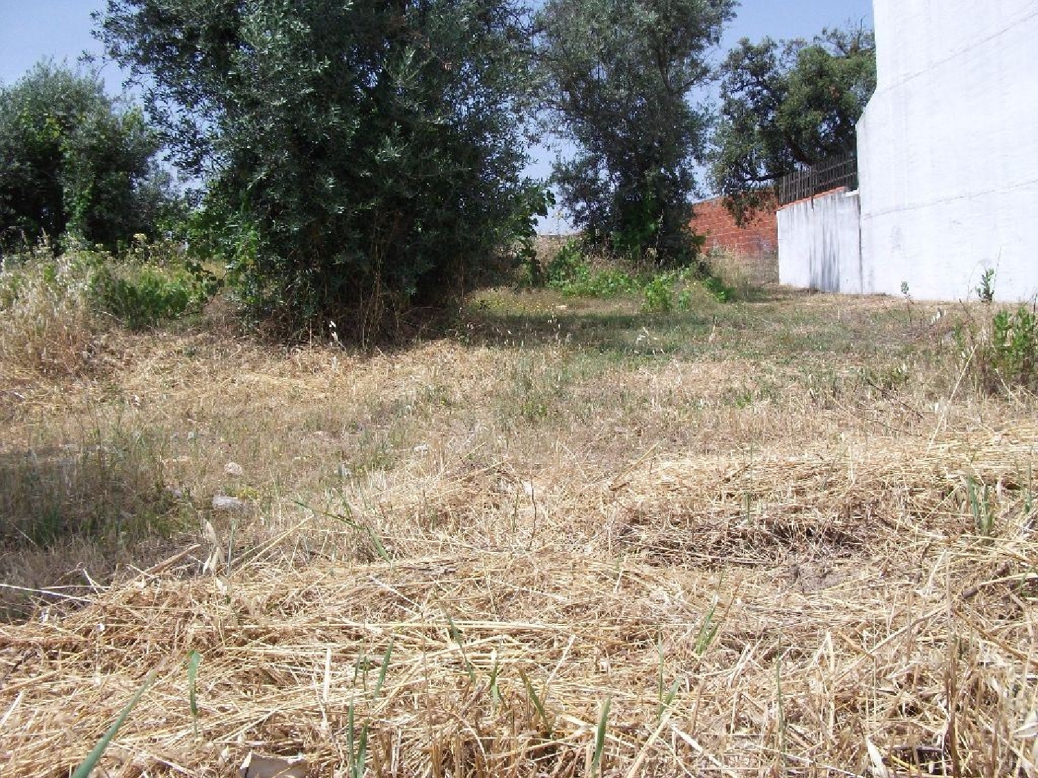 te koop terrein Alcains Castelo Branco 2