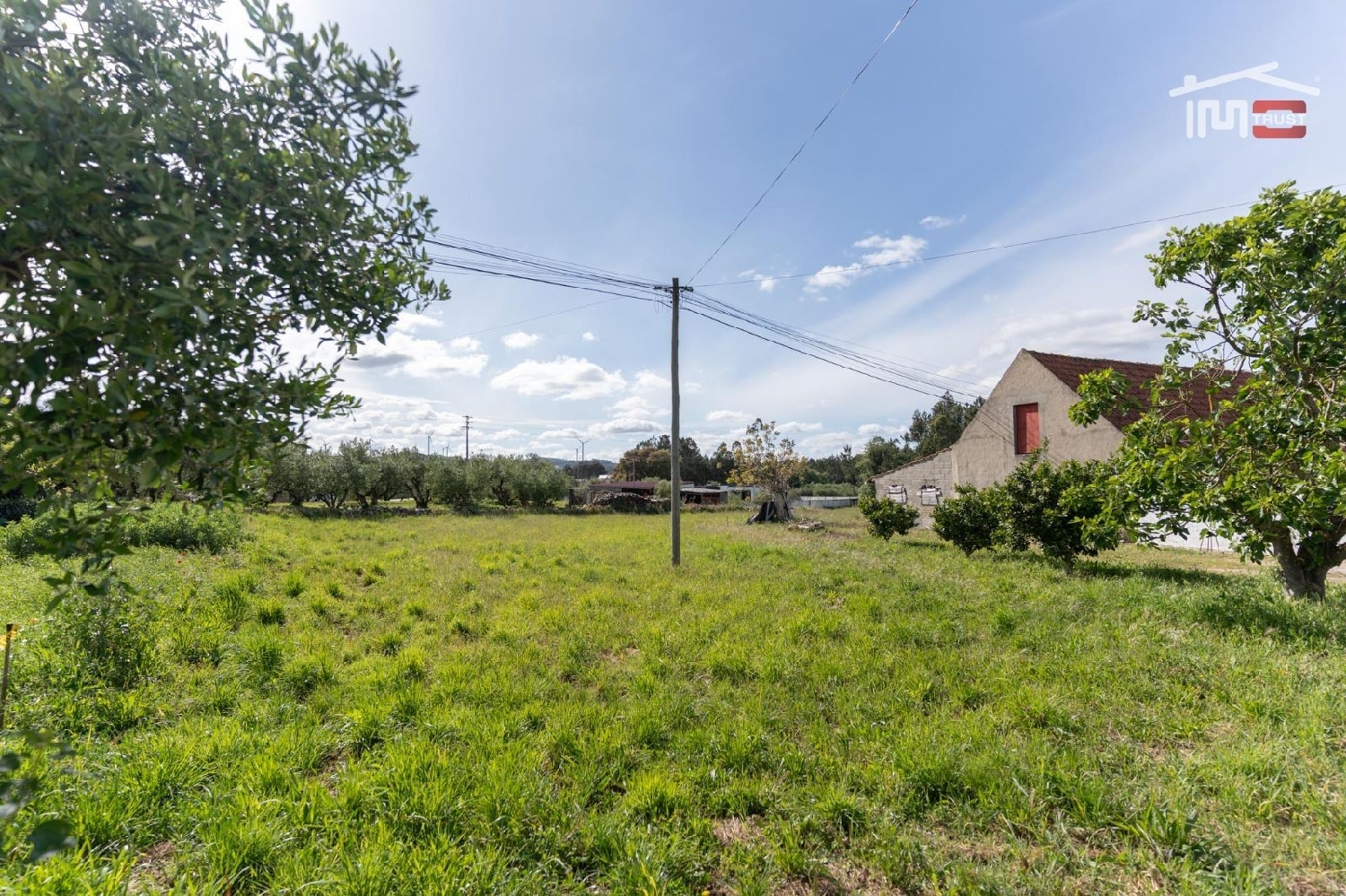  à vendre terrain Alcanadas Batalha 3