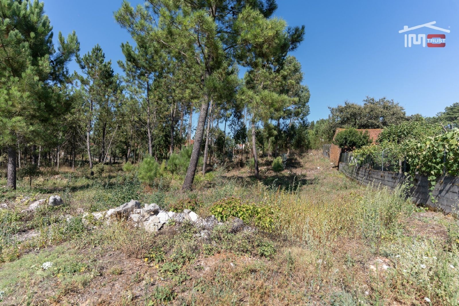  à vendre terrain Alcanadas Batalha 1
