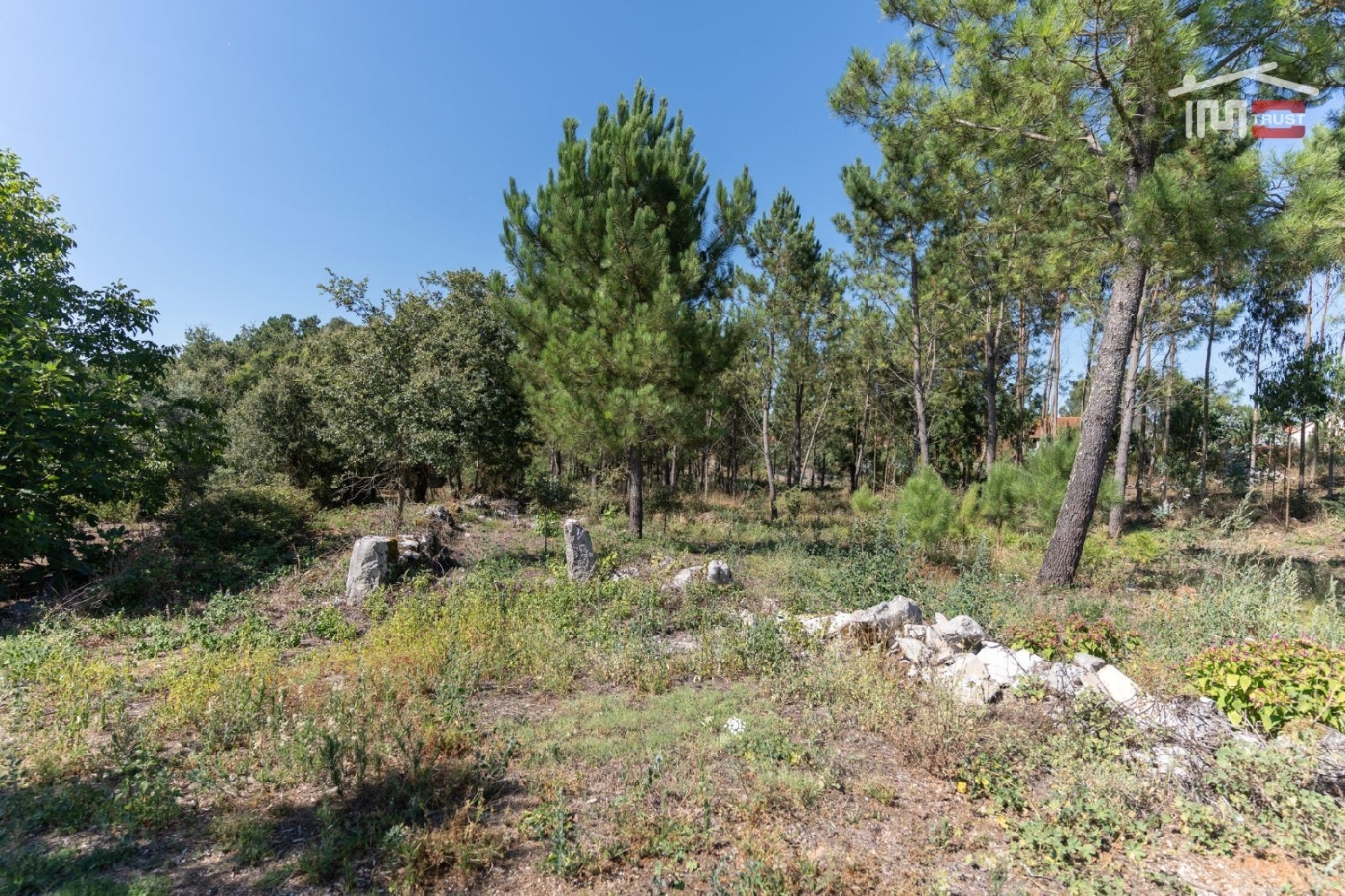  à vendre terrain Alcanadas Batalha 2