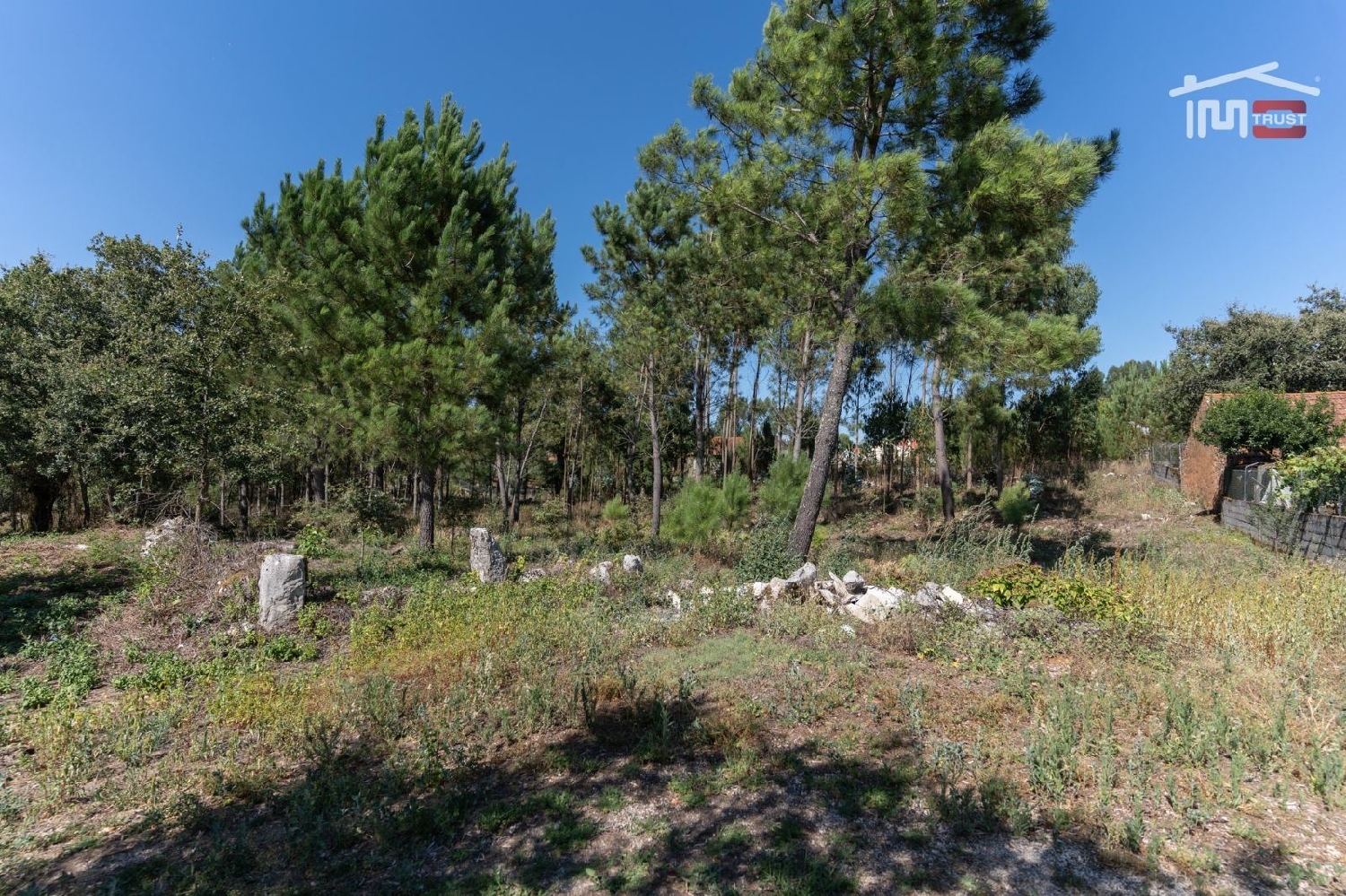  à vendre terrain Alcanadas Batalha 3