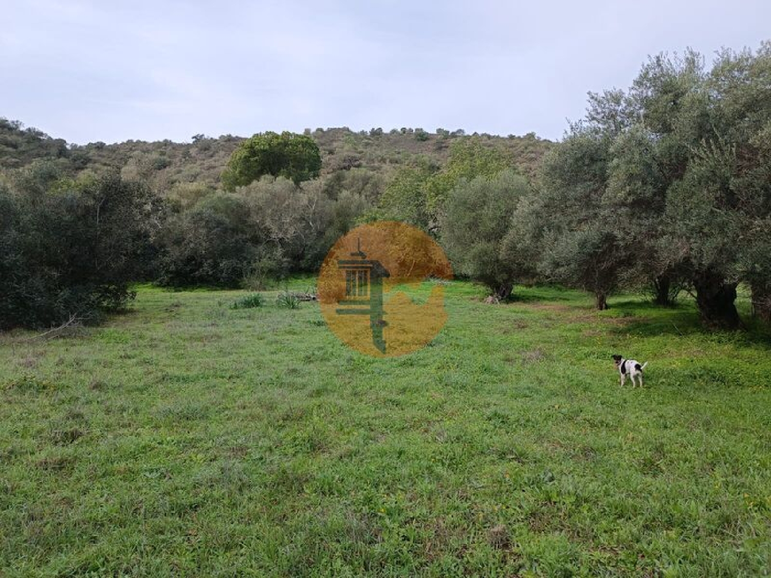  à vendre terrain Alcoutim Alcoutim 7