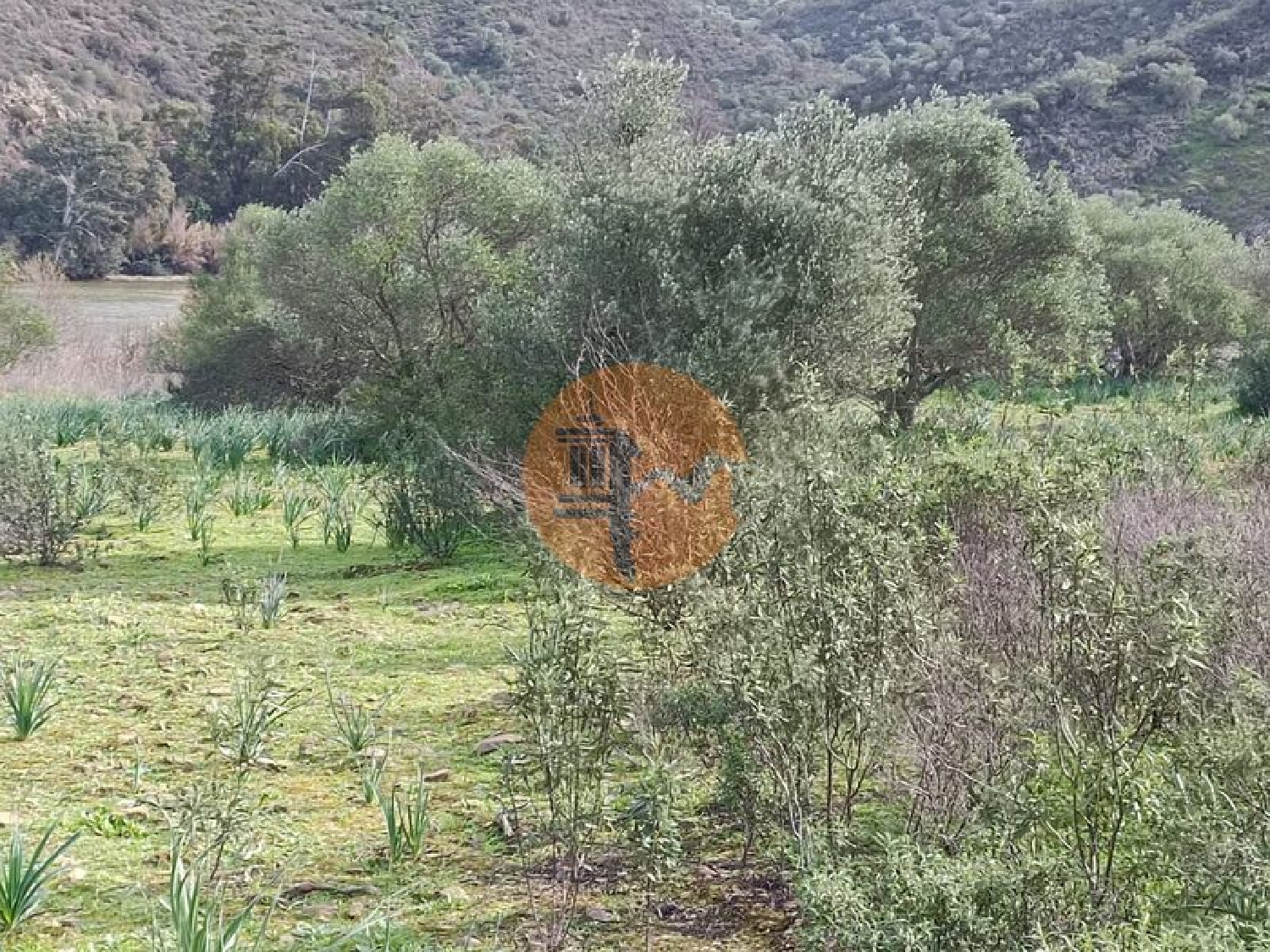  à venda terreno Alcoutim Alcoutim 4