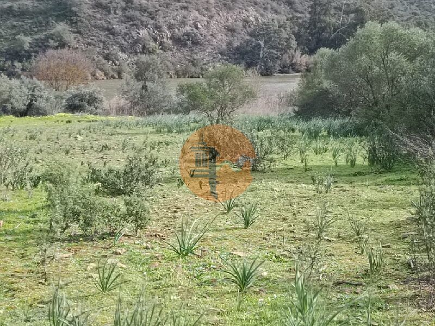  à venda terreno Alcoutim Alcoutim 5