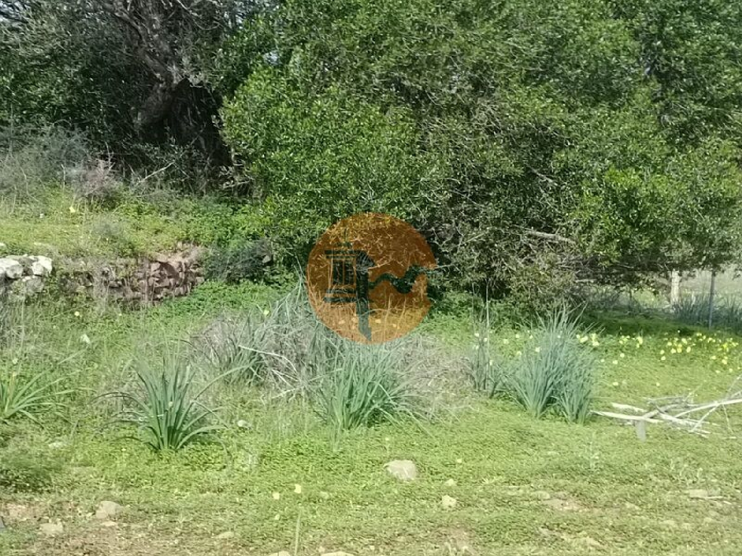  à venda terreno Alcoutim Alcoutim 6