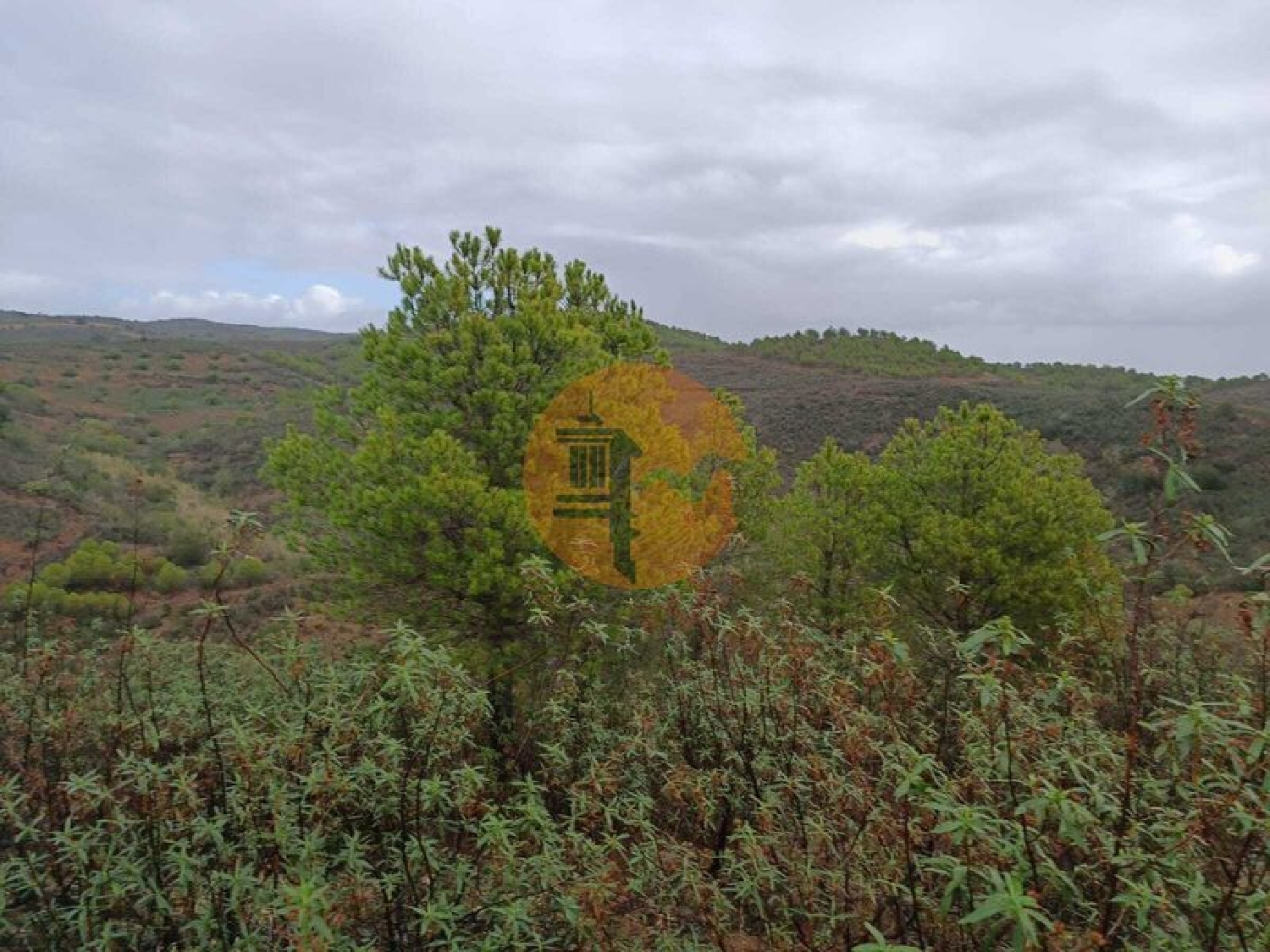  à vendre terrain Alcoutim Alcoutim 4