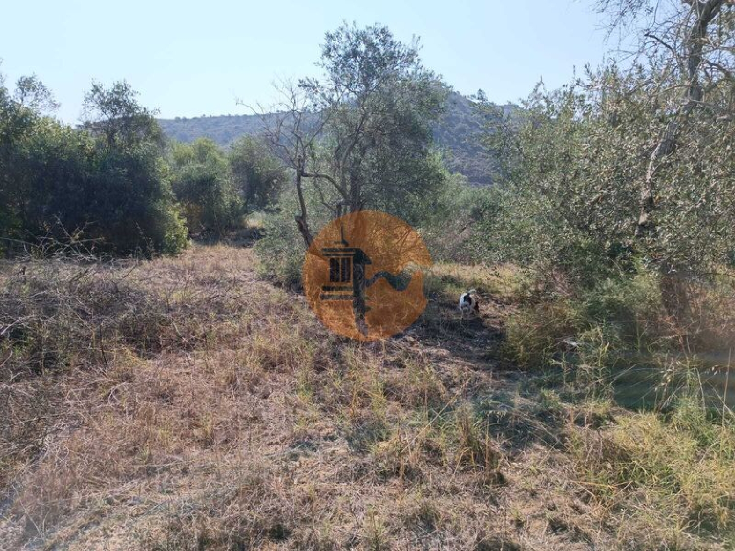  à venda terreno Alcoutim Alcoutim 8