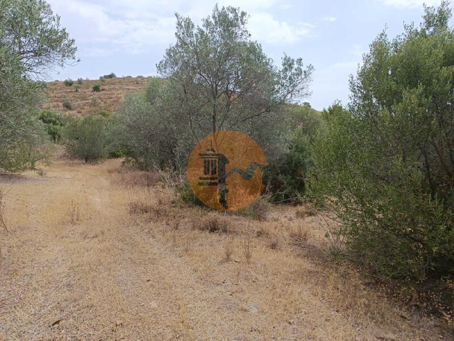  à venda terreno Alcoutim Alcoutim 2